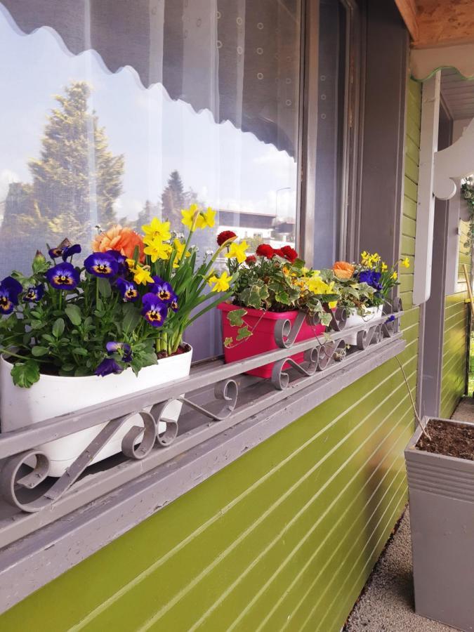 Gite Le Chalet Vert Frambouhans Exteriör bild